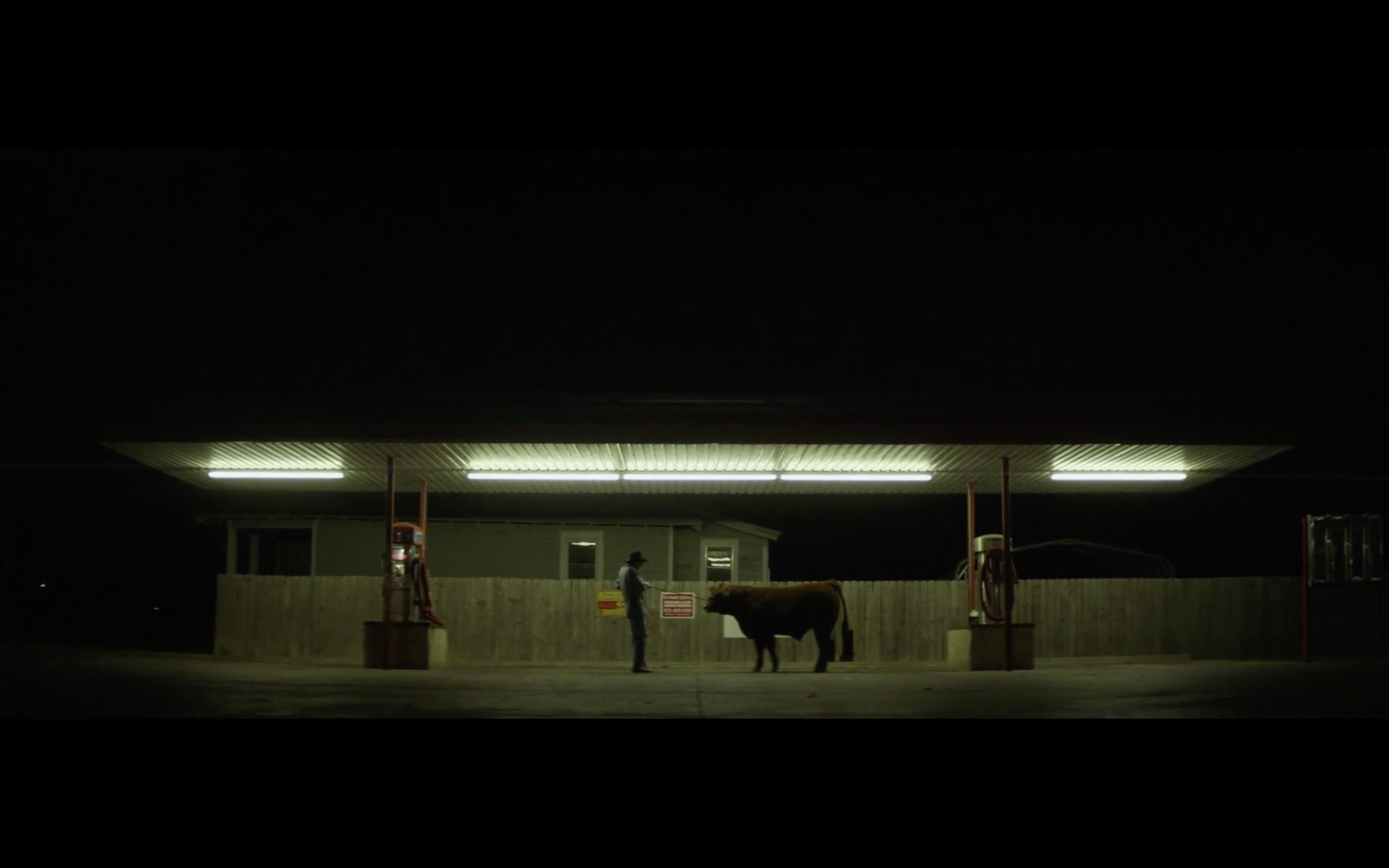 Italy, Texas: Wild Souls in the hot, blind earth